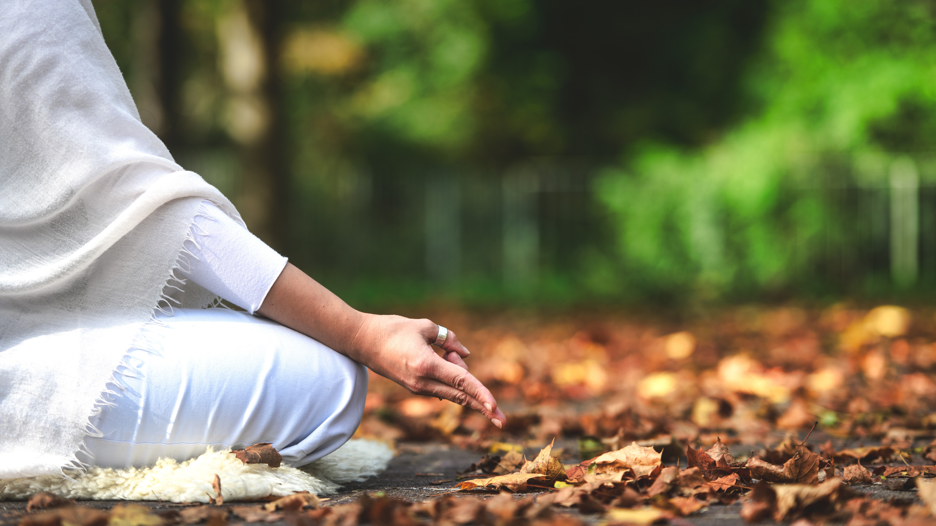 Meditation in Nature Among the Leaves
