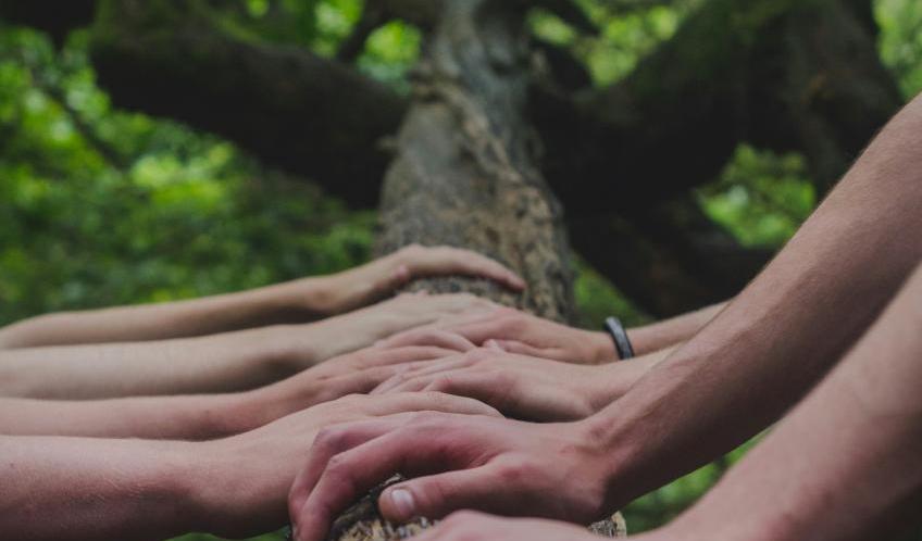Nature and human connection