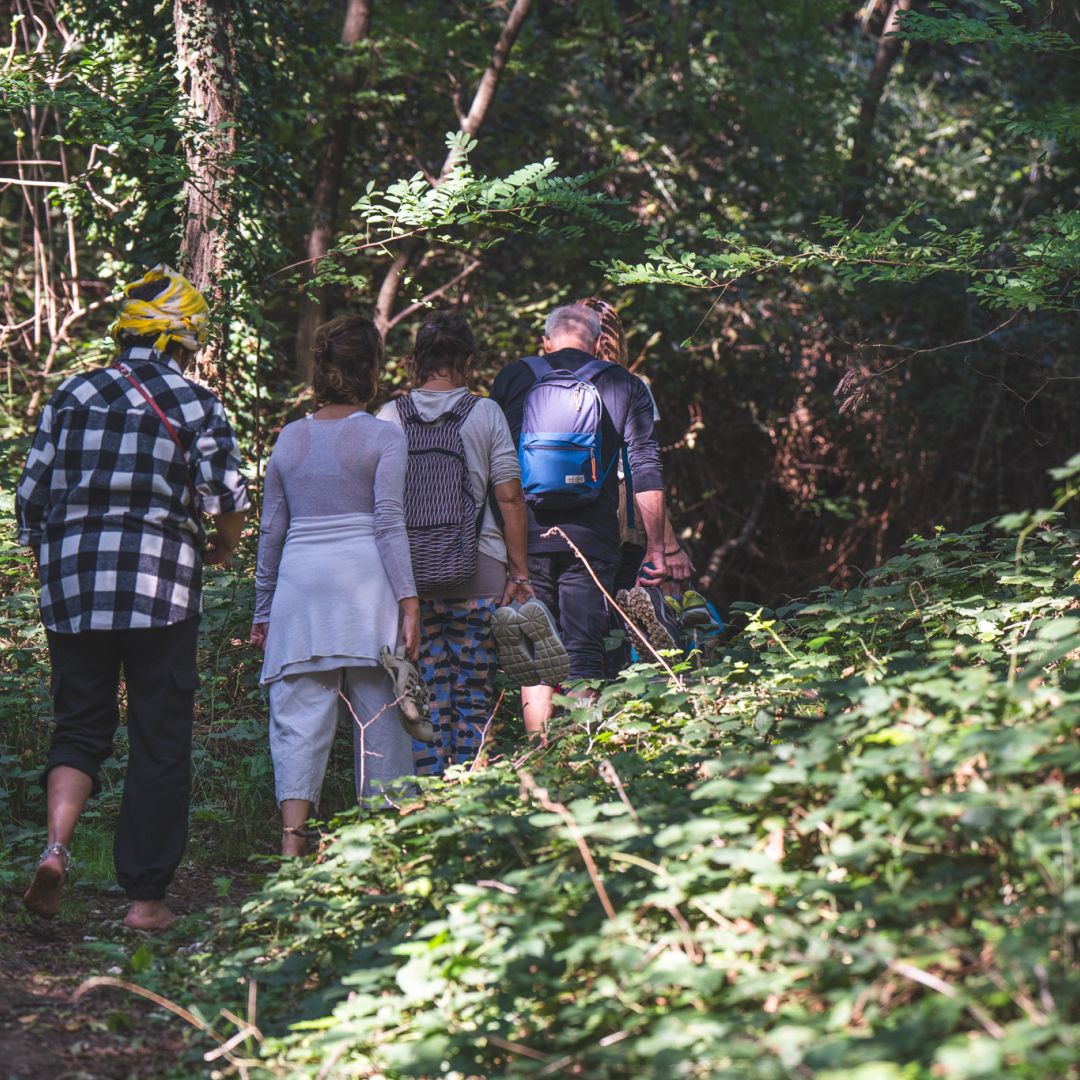 Bagni di bosco nella natura
