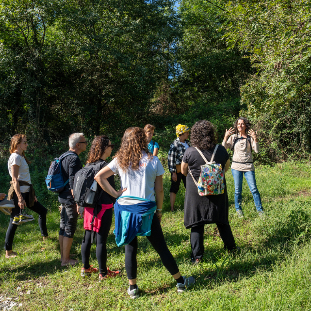 Bagni di bosco nella natura